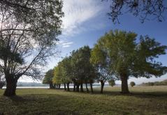 Bocage à Saint Mathurin sur Loire ©N. Van Ingen