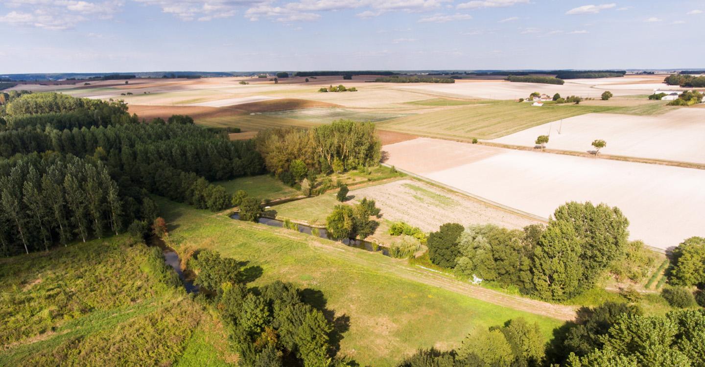 Culture des champignons  Parc Naturel Régional Loire-Anjou-Touraine