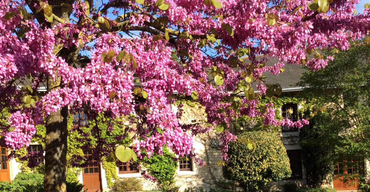 Le Cottage Du Domaine De Beauvais Parc Naturel Regional Loire Anjou Touraine