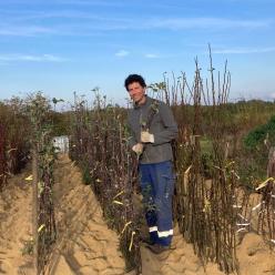 clos des arbres montreuil bellay