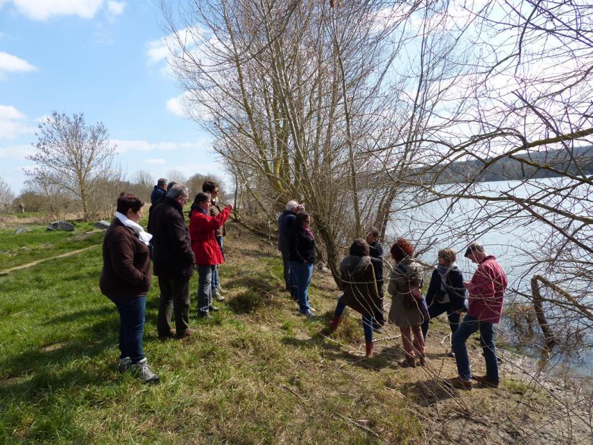 Des prestataires touristiques formés à la reconnaisance des oiseaux de Loire