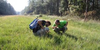 Inventaire biodiversité